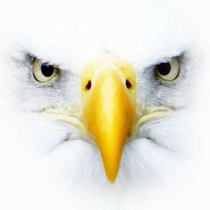 Meet your Posher, Richard